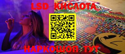 тгк Новодвинск