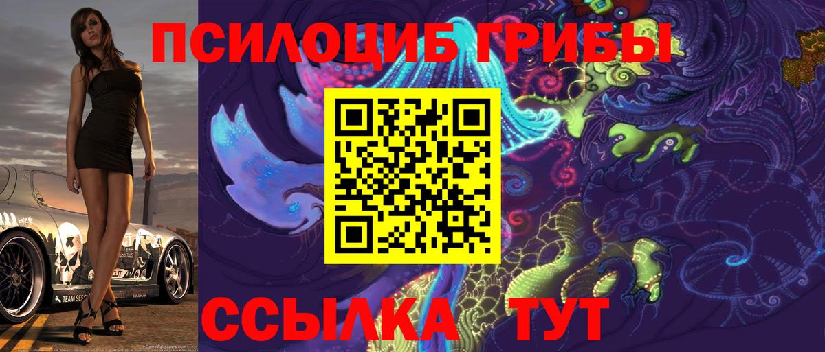 Тамбов  Галлюциногенные грибы Psilocybine cubensis  Вход с VPN  Псилоцибиновые грибы Magic Shrooms 