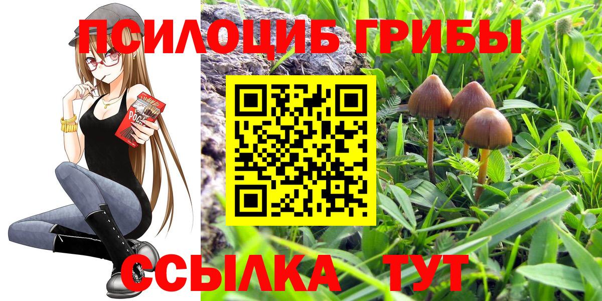 Псилоцибиновые грибы мухоморы Тамбов